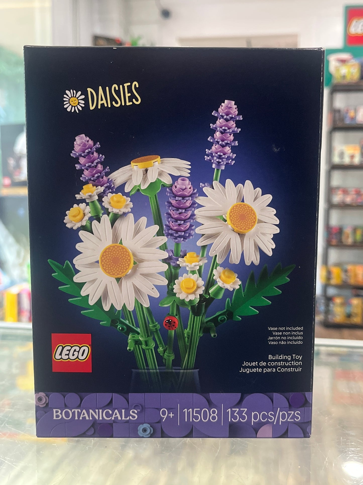 11508 Daisies