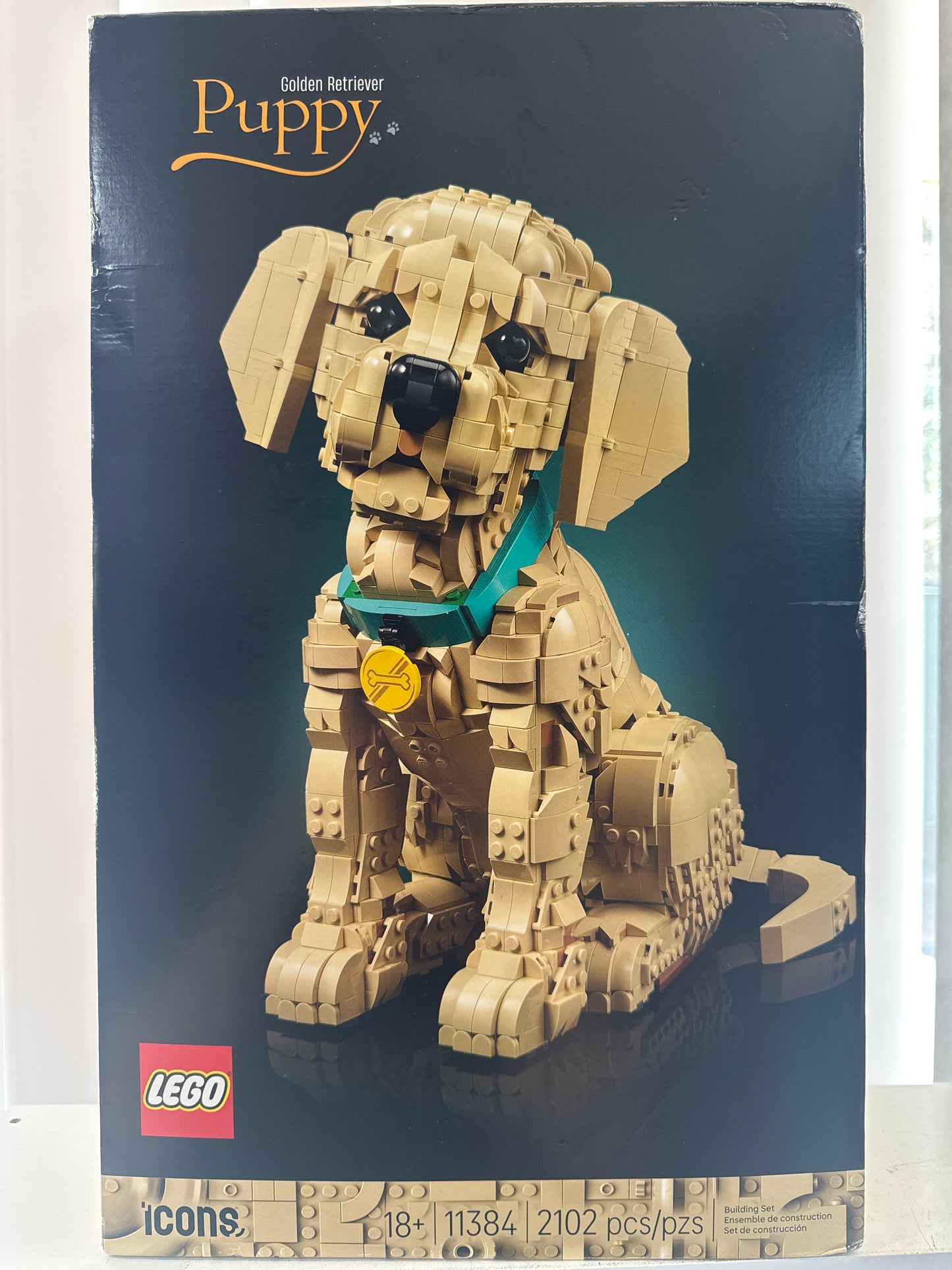 11384 Golden Retriever Puppy