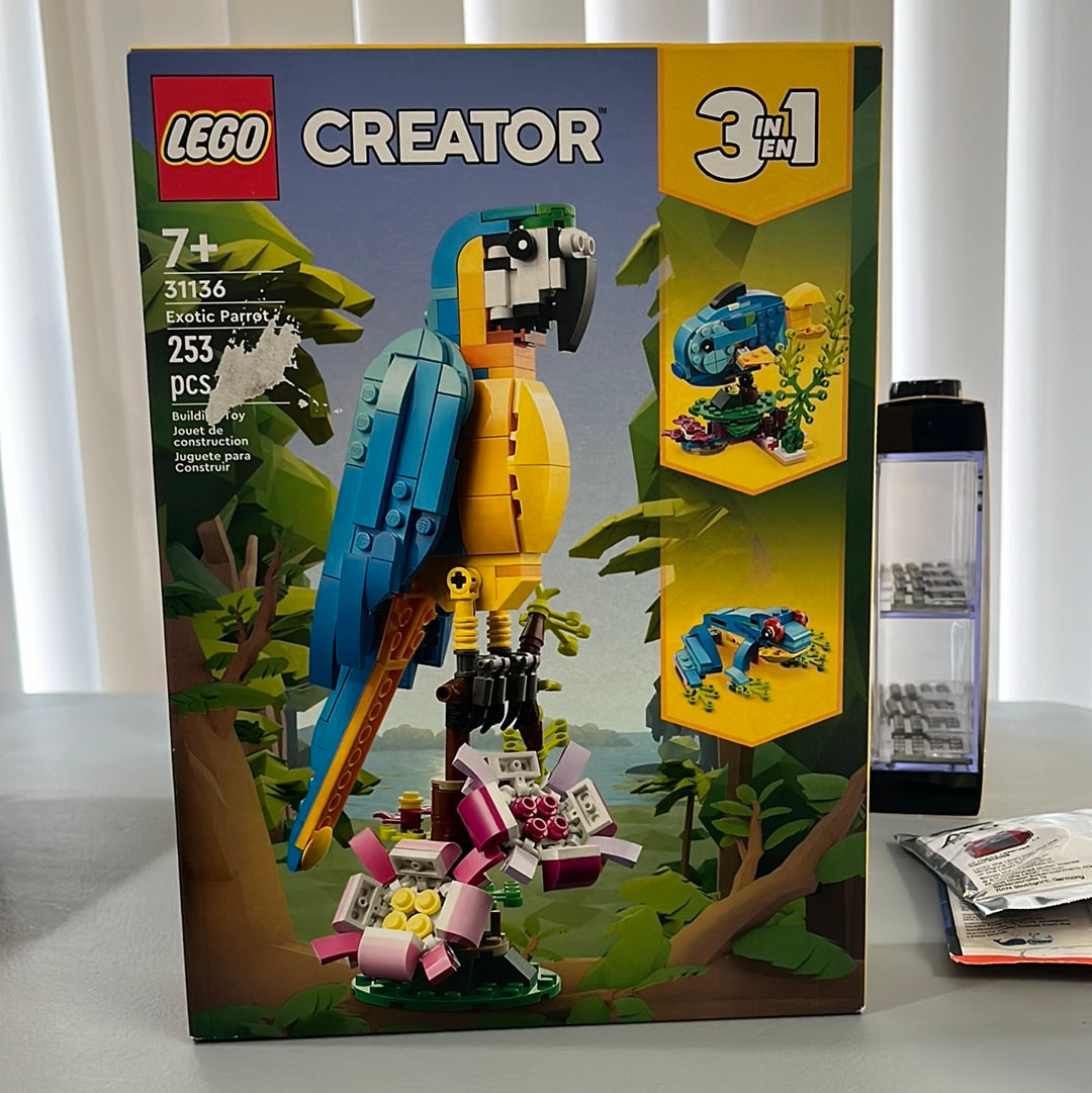 31136 Exotic Parrot