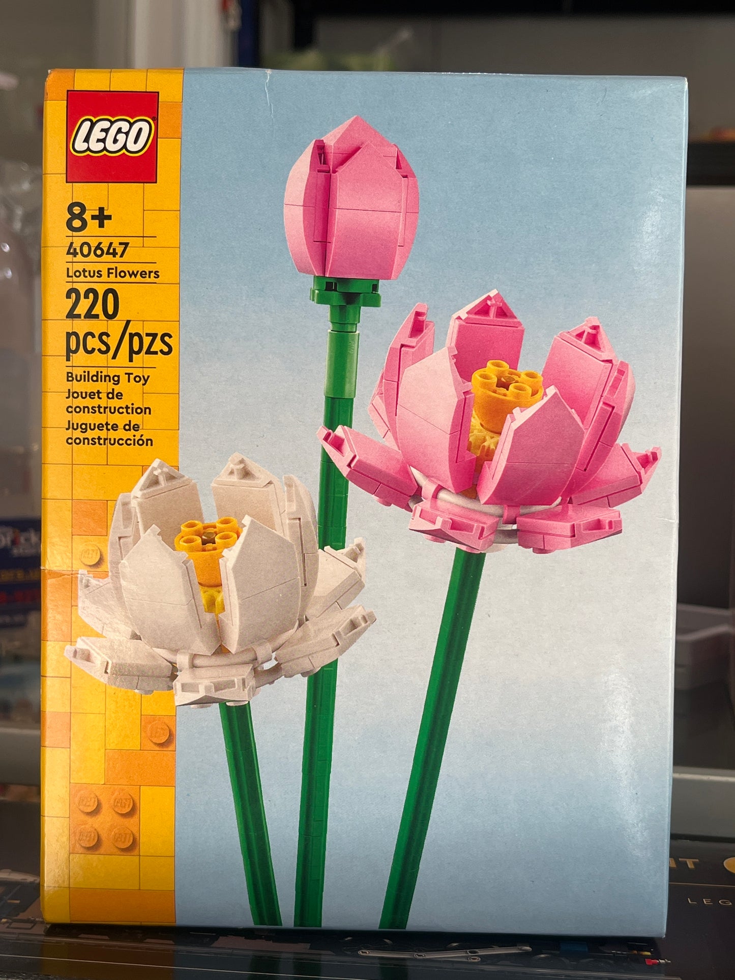 40647 Lotus Flowers