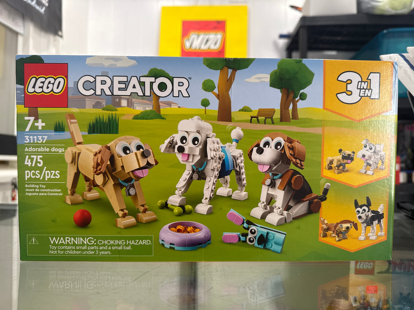 31137 Adorable dogs