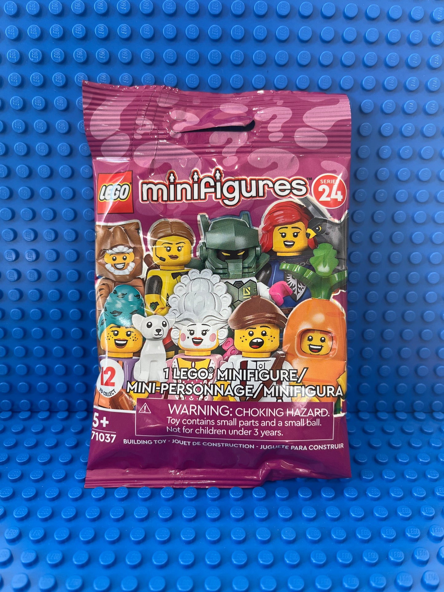 71037 Minifigure, Series 24