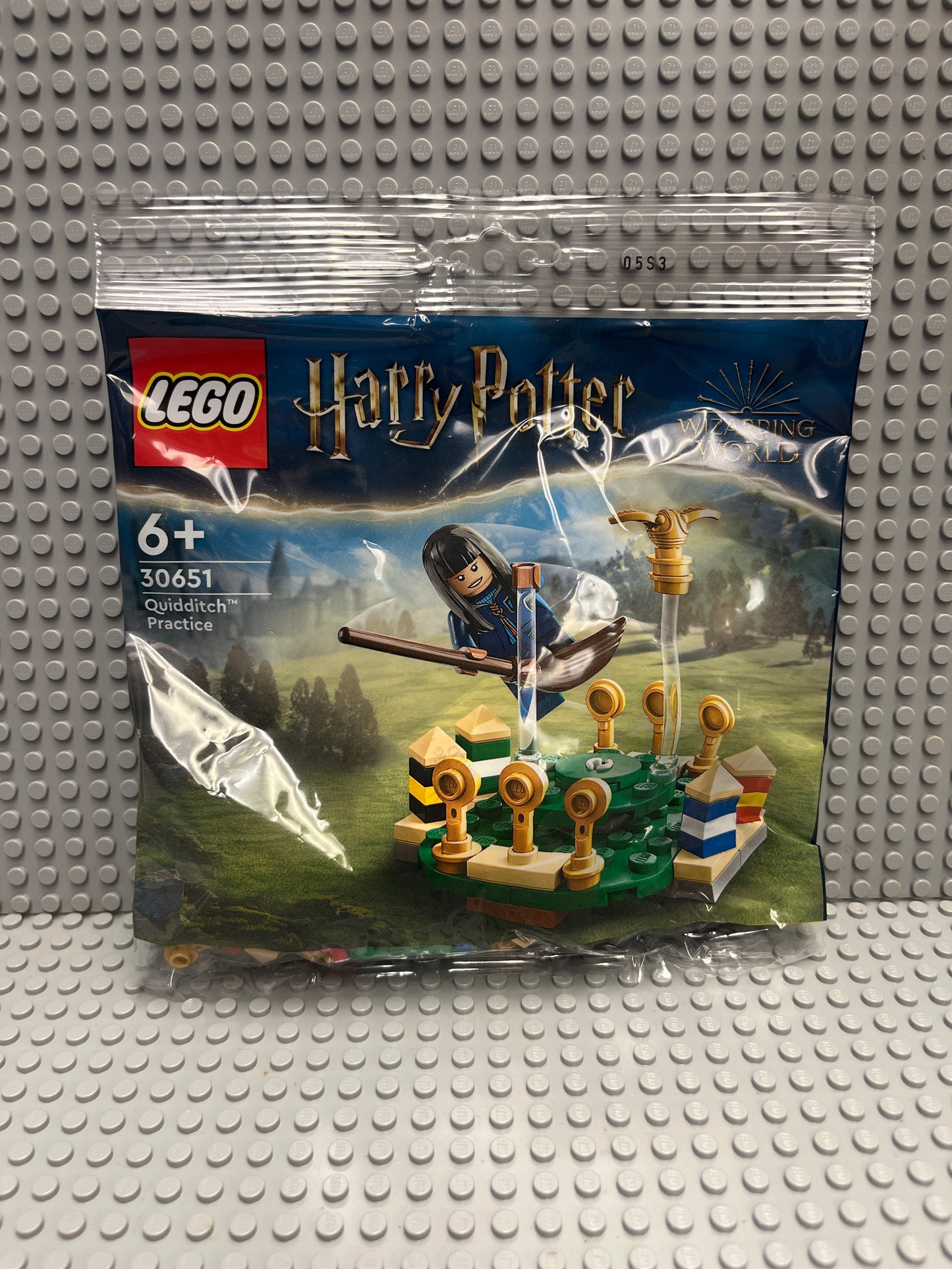 30651 Quidditch Practice polybag