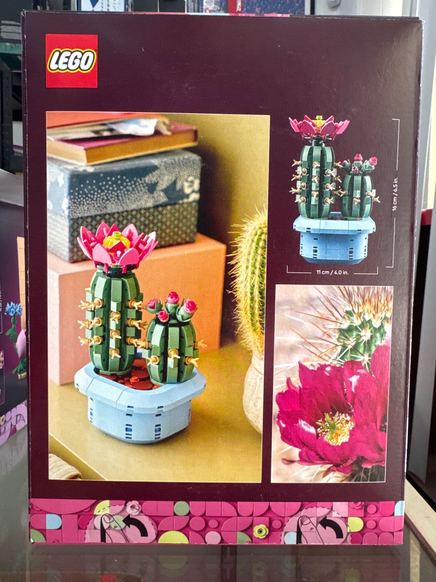 11509 Flowering Cactus