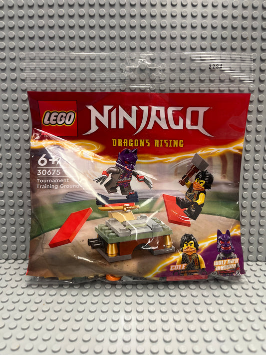 30675 Tournament Training Ground polybag