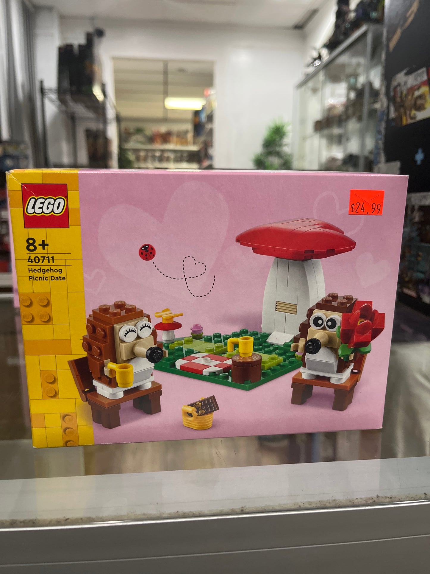 40711 Hedgehog Picnic Dinner