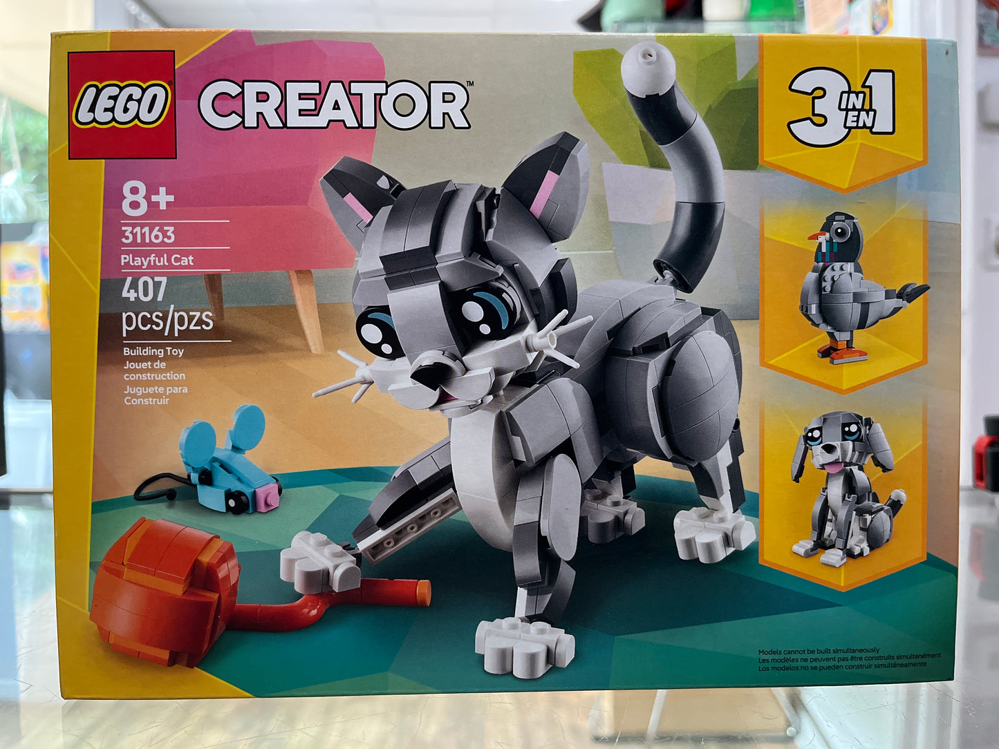 31163 Playful Cat