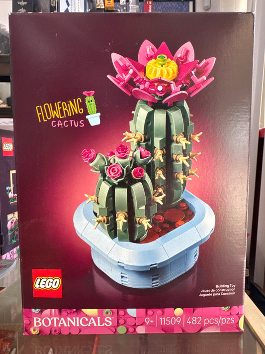 11509 Flowering Cactus