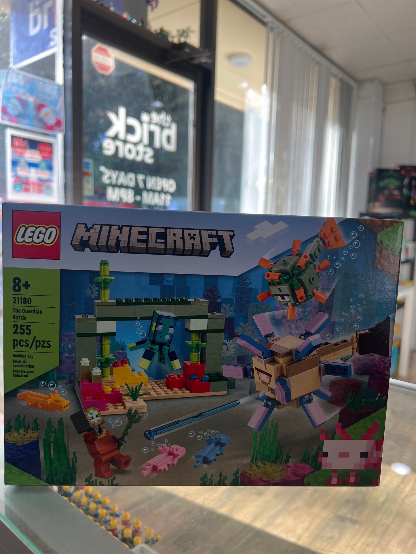 21180 The Guardian Battle