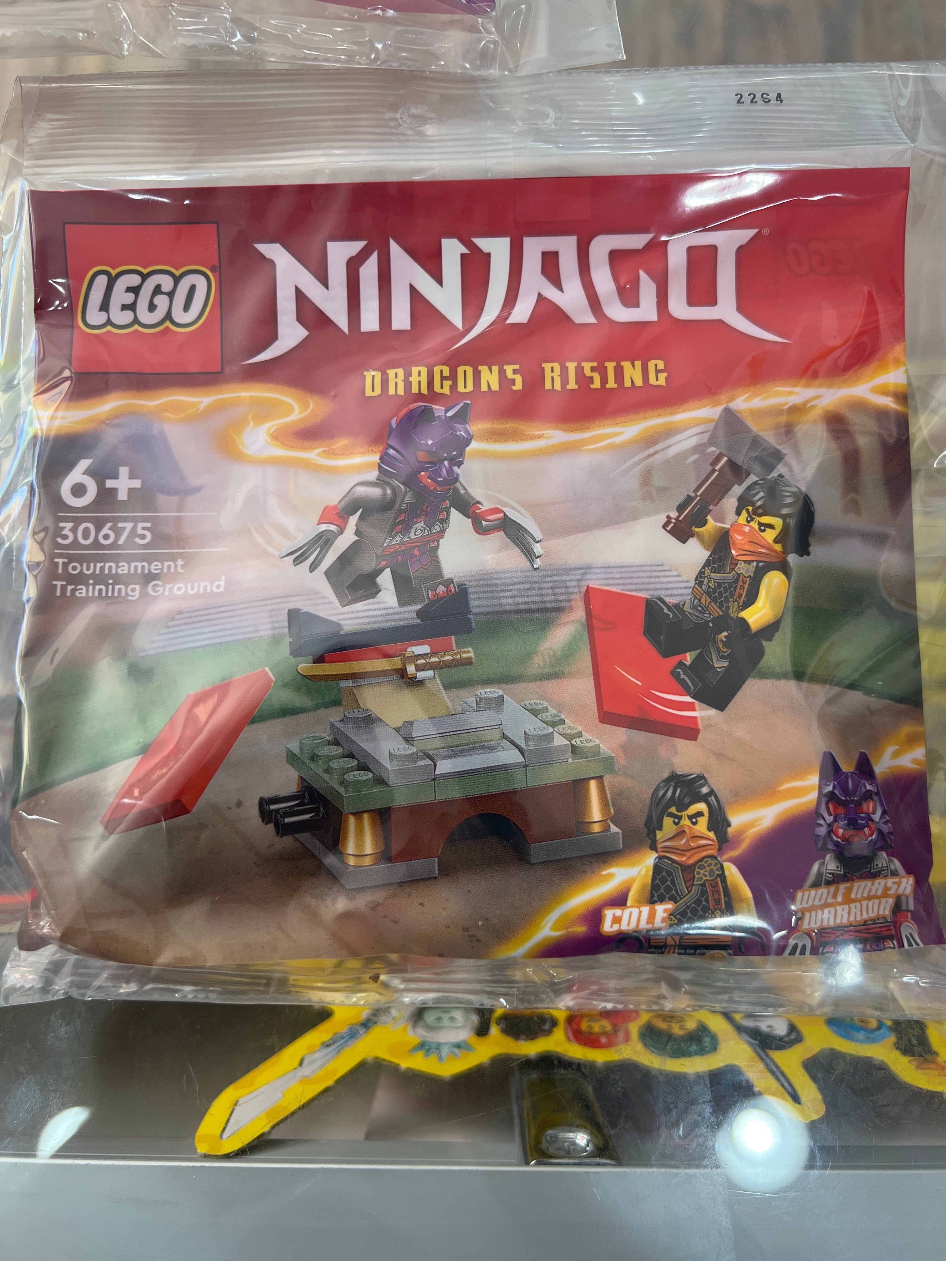 30675 Tournament Training Ground polybag – the brick store