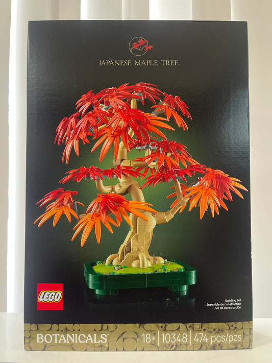 10348 Japanese Maple Tree