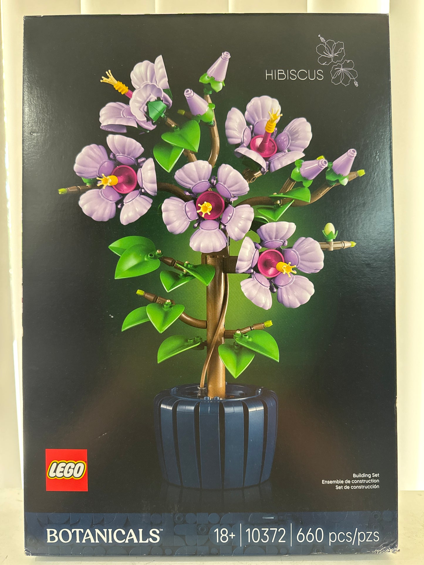 10372 Hibiscus