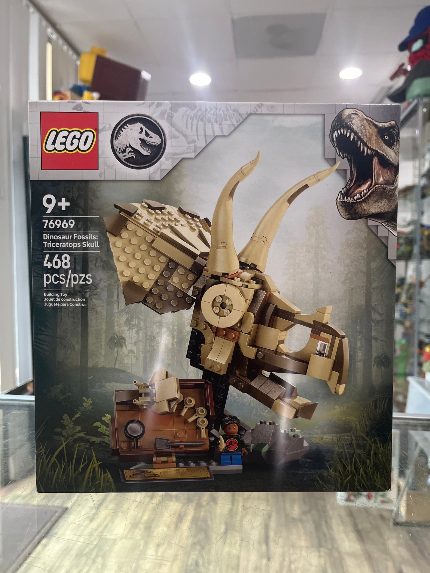 76969 Dinosaur Fossils: Triceratops Skull