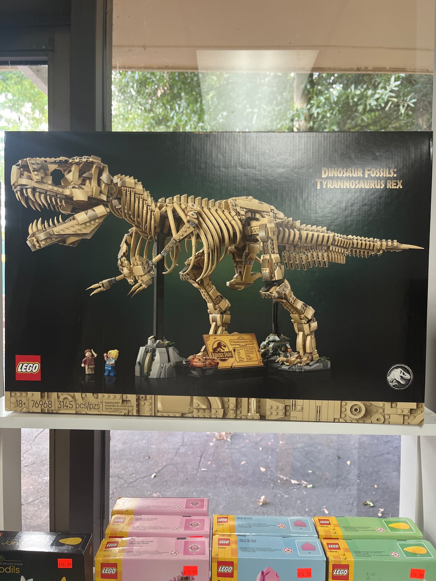 76968 Dinosaur Fossils