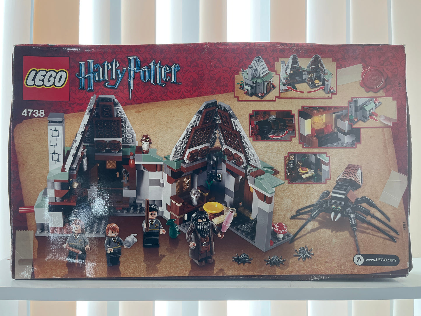 4738 Hagrid’s Hut