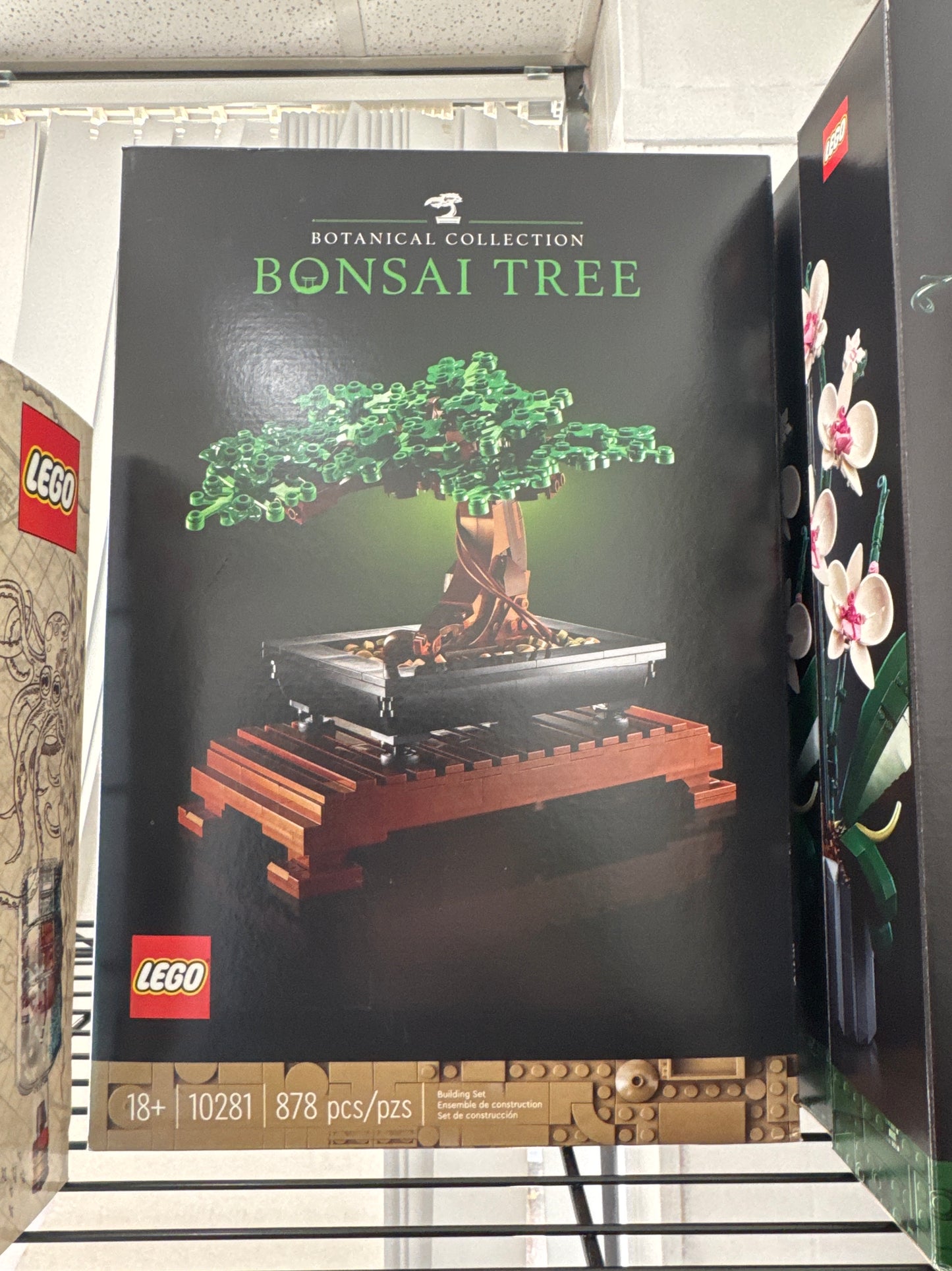 10281 Bonsai Tree