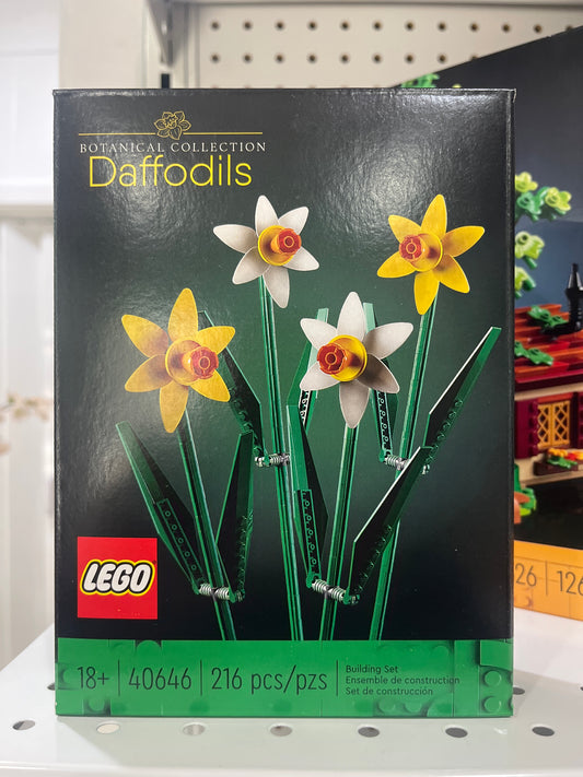 40646 Daffodils