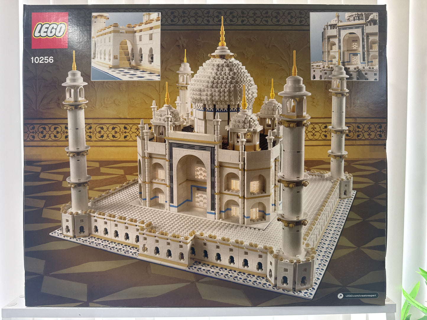 10256 Taj Mahal